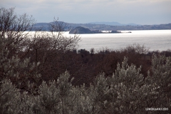 Vigna Del Lago39