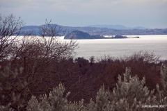 Vigna Del Lago40